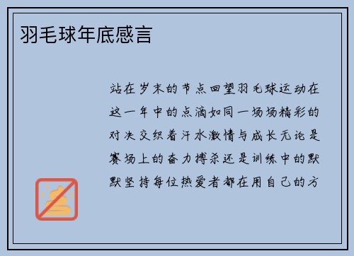 羽毛球年底感言